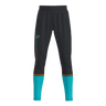 Fusion 2.0 Pants Men