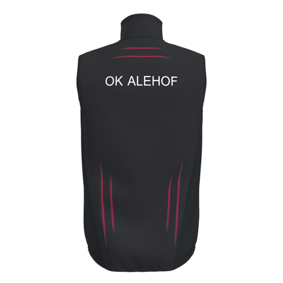 Ambition 2.0 Vest Men
