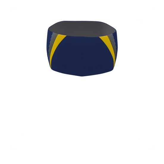 Pulse Headband