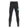 Pulse 2.0 Pants Women
