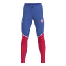 Pulse 2.0 Pants Men