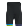 Drive 2 Shorts Men