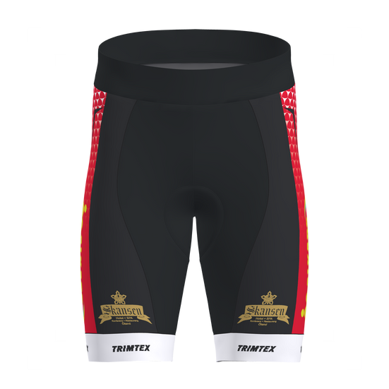 Drive Tri Shorts Men