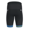 Drive Tri Shorts Men