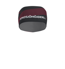 Pulse Headband