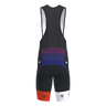 Pro 3.0 Bib Shorts Men