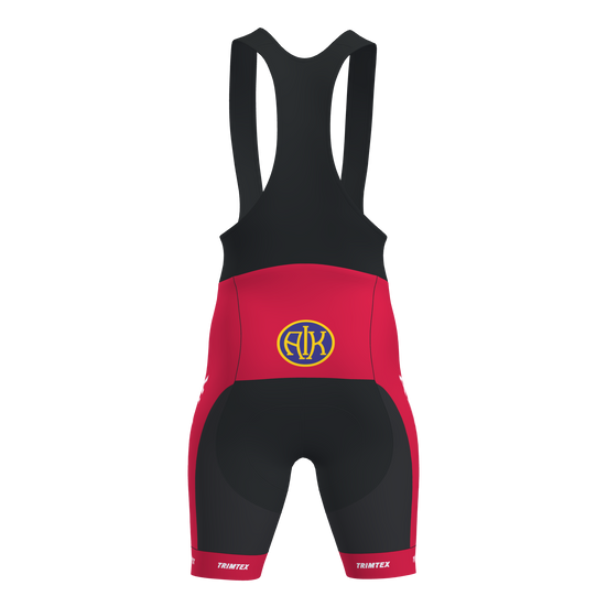 Team Bib Shorts Jr