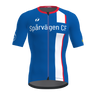 Vitric 2.0 Shirt SS Men
