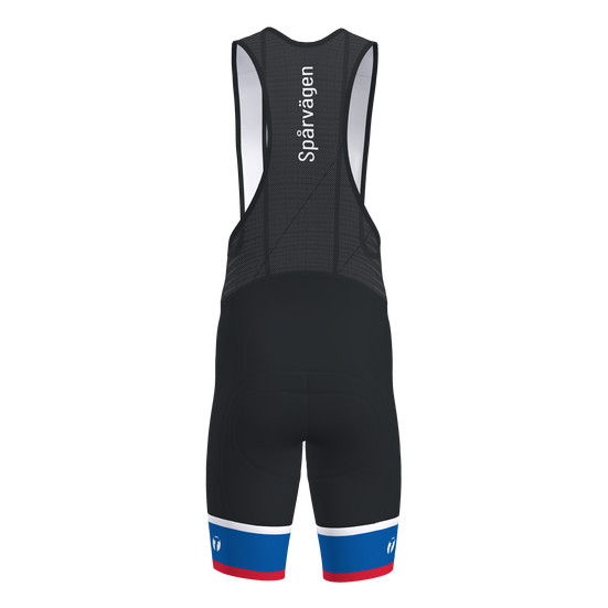 Victory 2.0 Bib Shorts Men