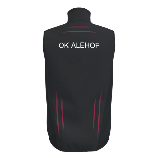 Ambition 2.0 Vest Men
