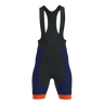 Team Bib Shorts Men