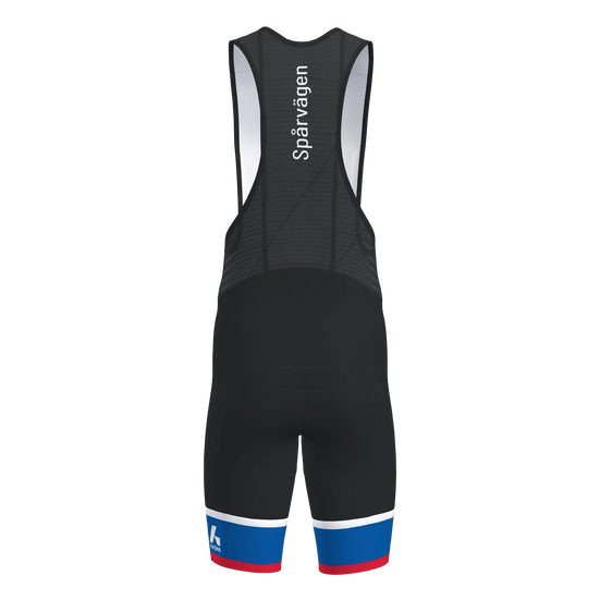 Victory 2.0 Bib Shorts Men
