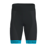 Drive 2 Shorts Men