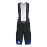 Victory 2.0 Bib Shorts Men