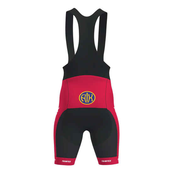 Team Bib Shorts Men