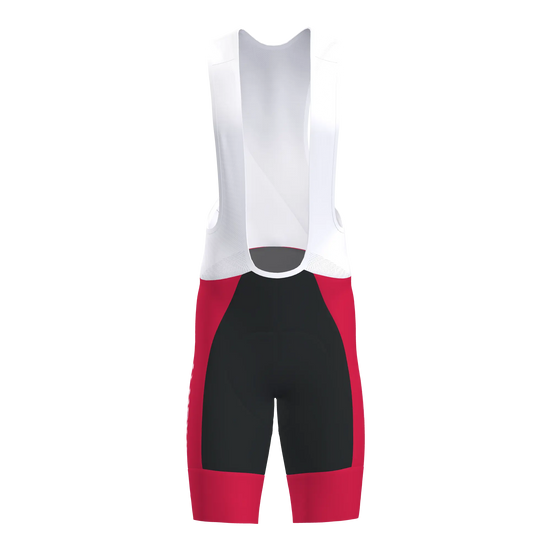 Pro 3.0 Bib Shorts Men