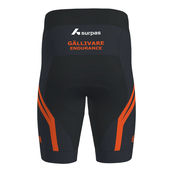 Drive 2 Shorts Men