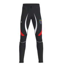 Element 2.0 Pants Men