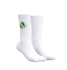 Vitric Performance Socks